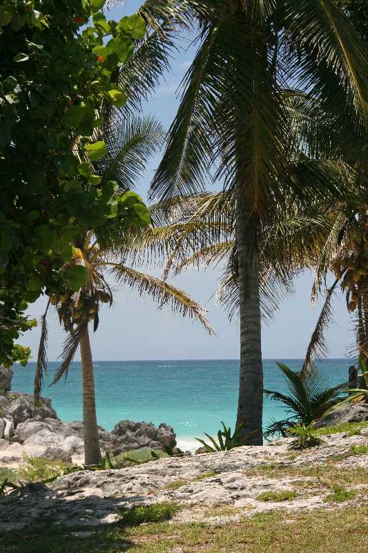 Mexico & Guatemala 2010 - 1227